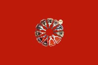 湄潭县回收红酒